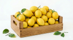 Limone (1 kg)