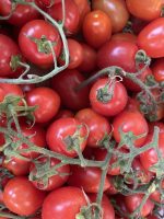 Pomodoro Picadylly o  Pixel (1 KG)