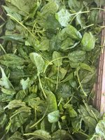 Spinaci - capati (1 KG)