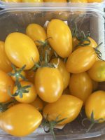 Datterino giallo e rosso