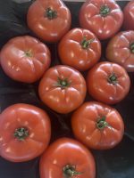 Pomodoro riso (1 KG)