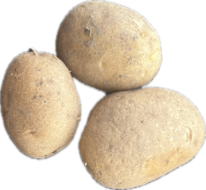 Patate novelle (1 KG)