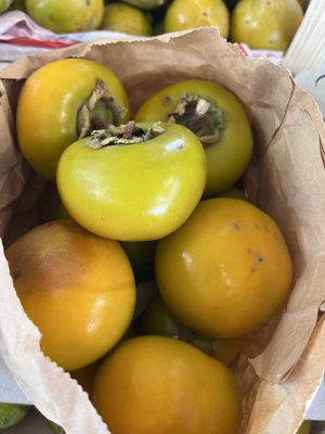 Loti Sharon (1 KG)