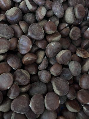 Castagne