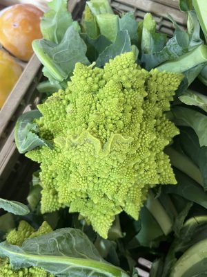 Broccolo romano ( a punta ) AL PEZZO